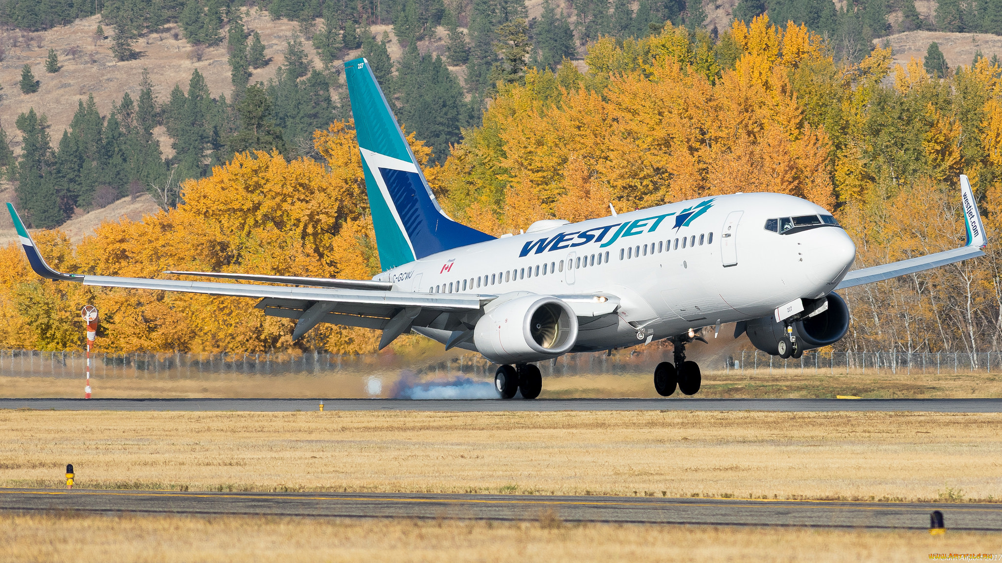 boeing 737-7ct, ,  , 